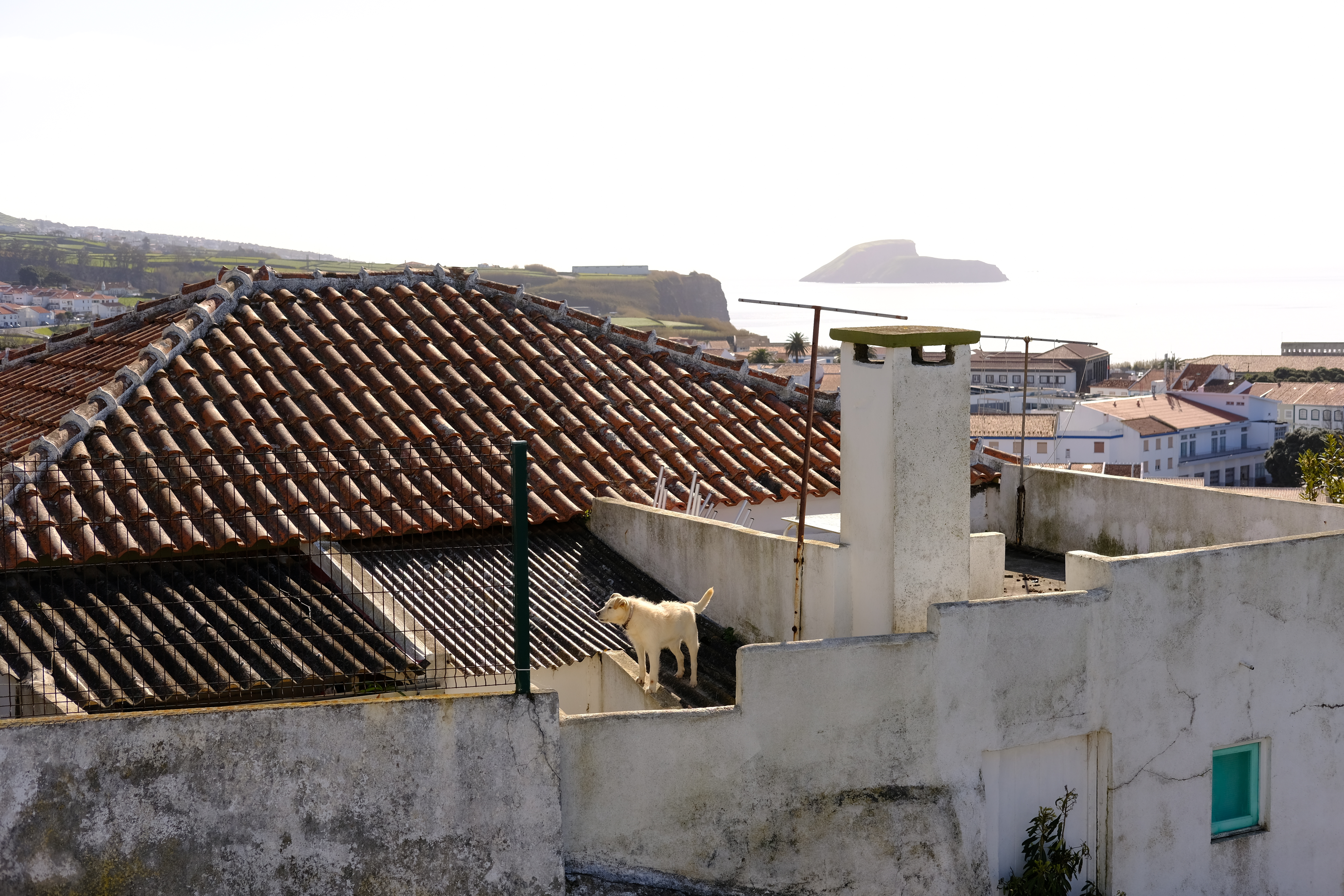 Landscape 5